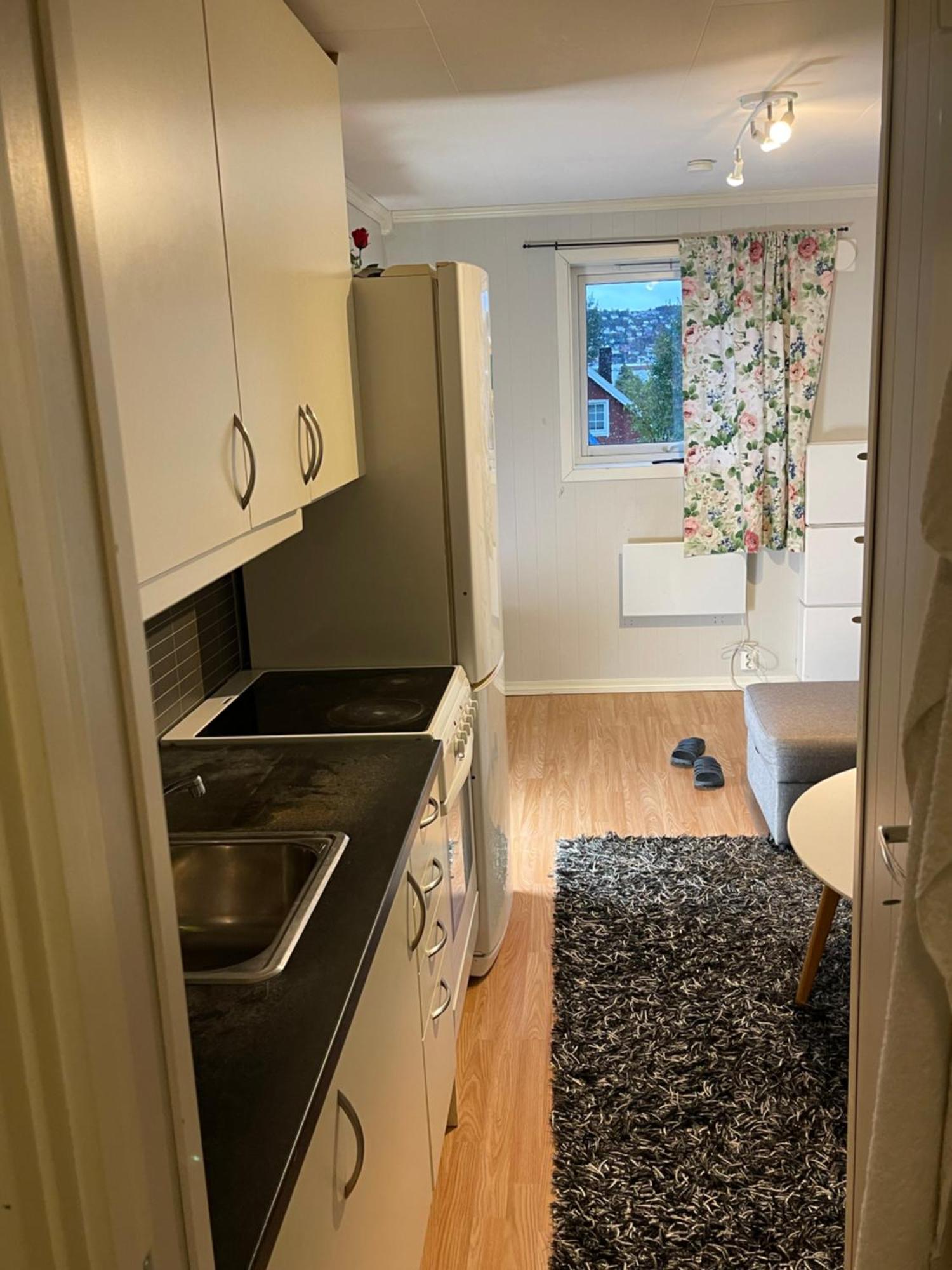 Romslig Hybel Apartment